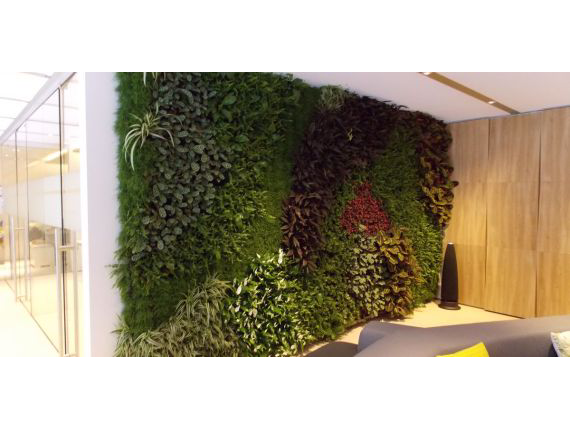 Living Plant Walls(11)