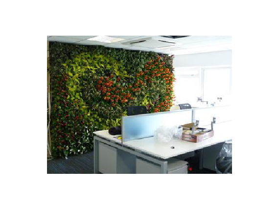 Living Plant Walls(12)