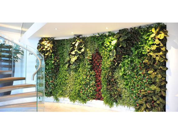Living Plant Walls(13)