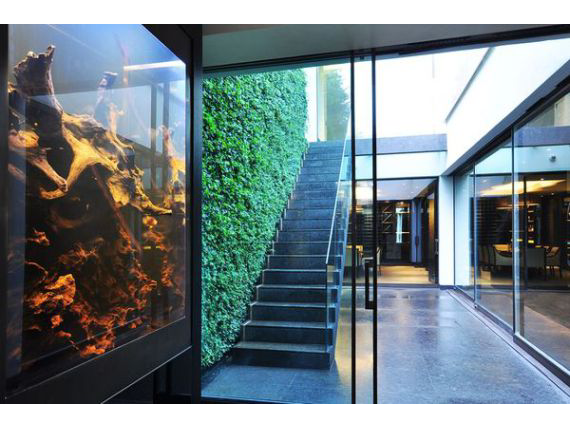 Living Plant Walls(15)