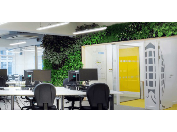 Living Plant Walls(19)