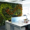 Living Plant Walls - office furniture