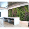 Living Plant Walls - office furniture