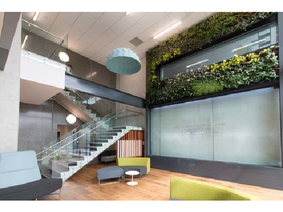 Living Plant Walls(4)
