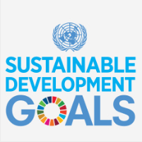 1 sustainable goals