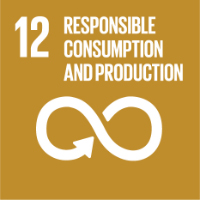 12 responsible consumption and production responsible consumption and production