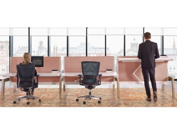 Max Hybrid straight sit-stand desk