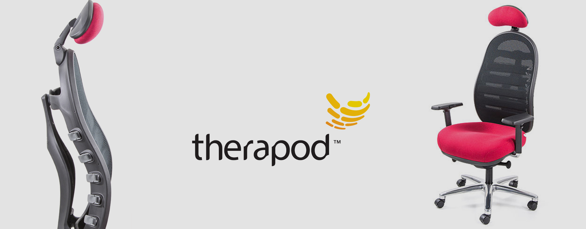 Therapod Therapod