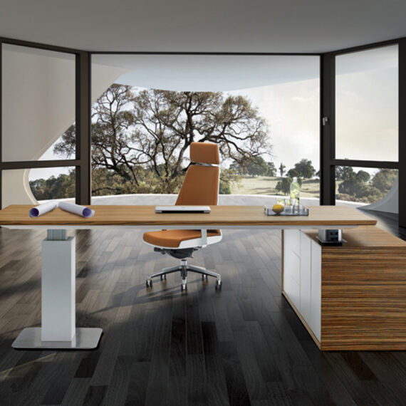 Evolution_desk_2