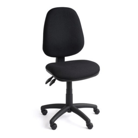 Basic Ergonomic Gregory LE Express Task Chair