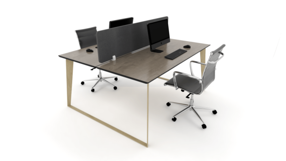 RZ2PD WG DO ECHO CHAR