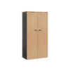 Accent Stationery Cupboard - office furniture