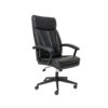 Buro Dakota II Executive Task Chair - office furniture