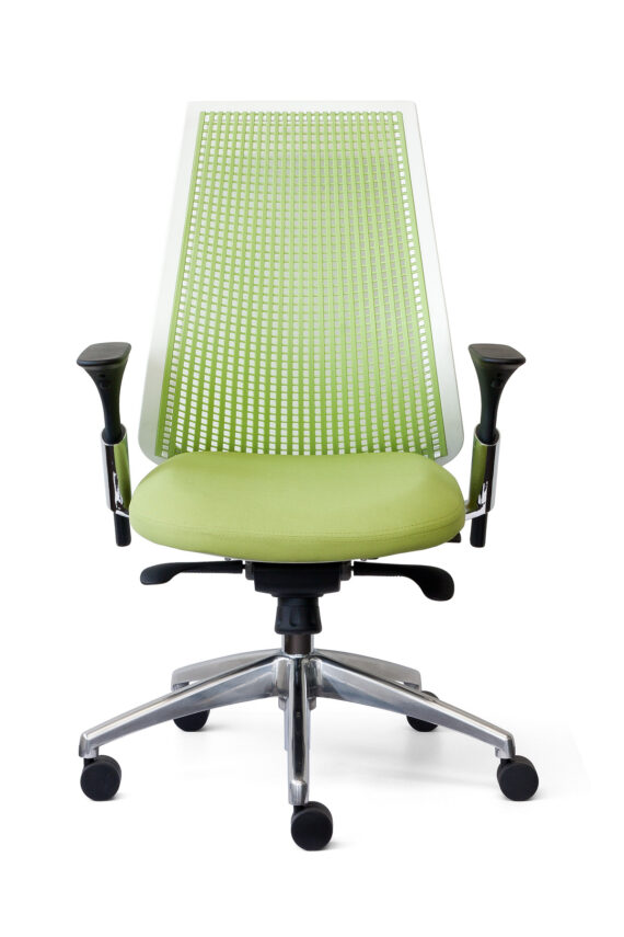 Essence OD3310FA WG 2