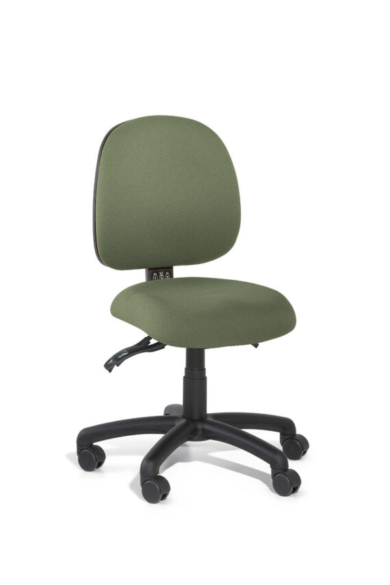 Gregory Petite TPE MS R 1